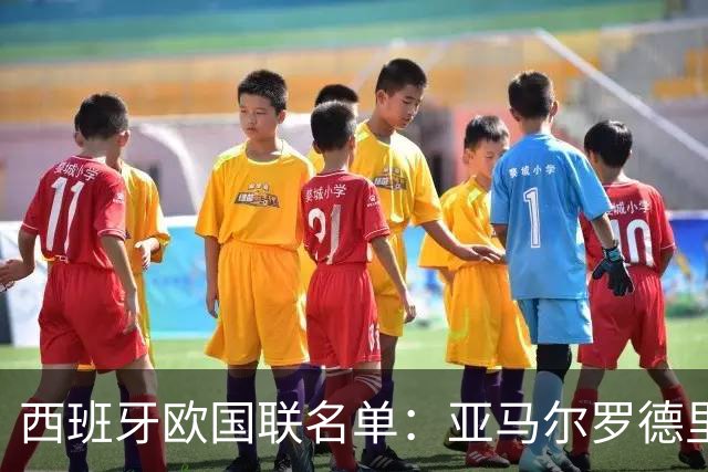 西班牙欧国联名单：亚马尔罗德里领衔 加维落选